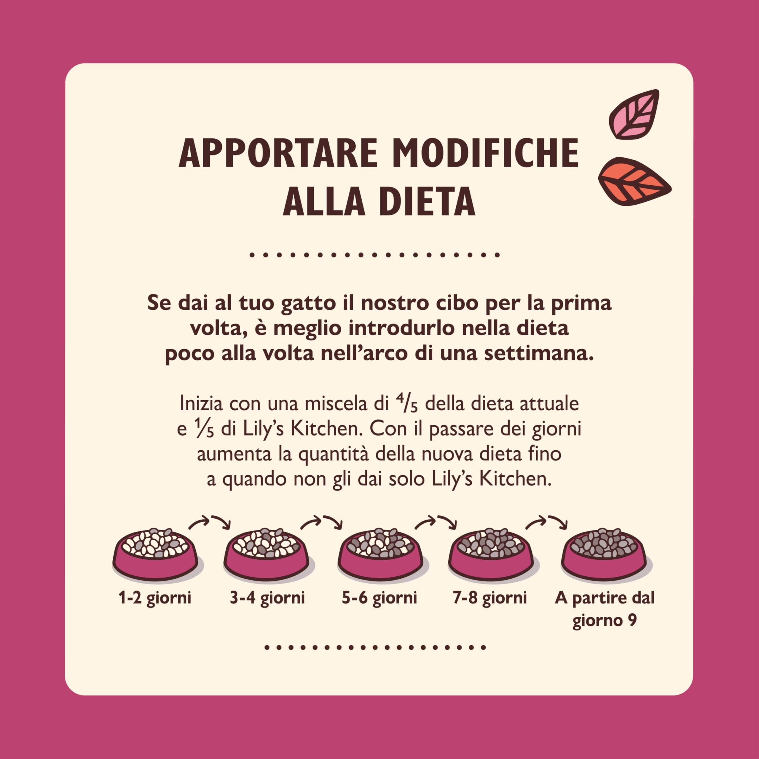Lily's Kitchen Paté Morbido con Pollo per Gatti Senior – Cibo Umido Naturale, Senza Cereali, Ricco di Carne (19 x 85 g)
