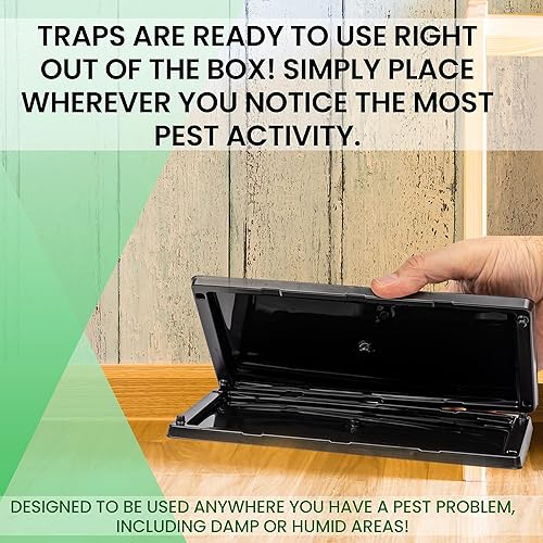 Miniatura 6 de T3-R Trampas adhesivas para insectos extra grandes (paquete de 12) - Tablas de pegamento para ratones e insectos - Trampas de pegamento desechables