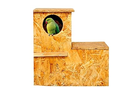 Amijvdaya Wooden Parrot Home Water Resistance