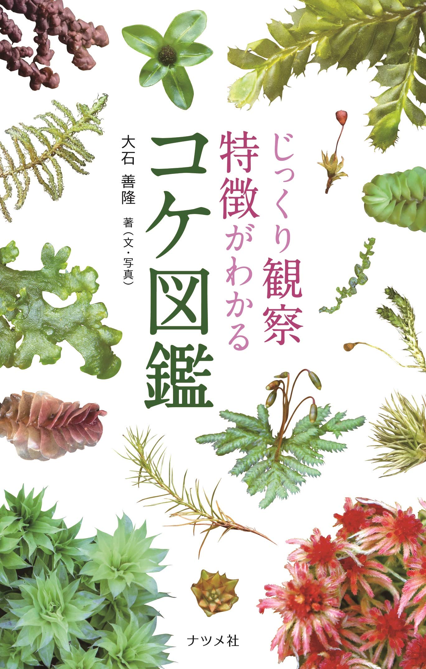 じっくり観察 特徴がわかる コケ図鑑 | 大石善隆 |本 | 通販 | Amazon