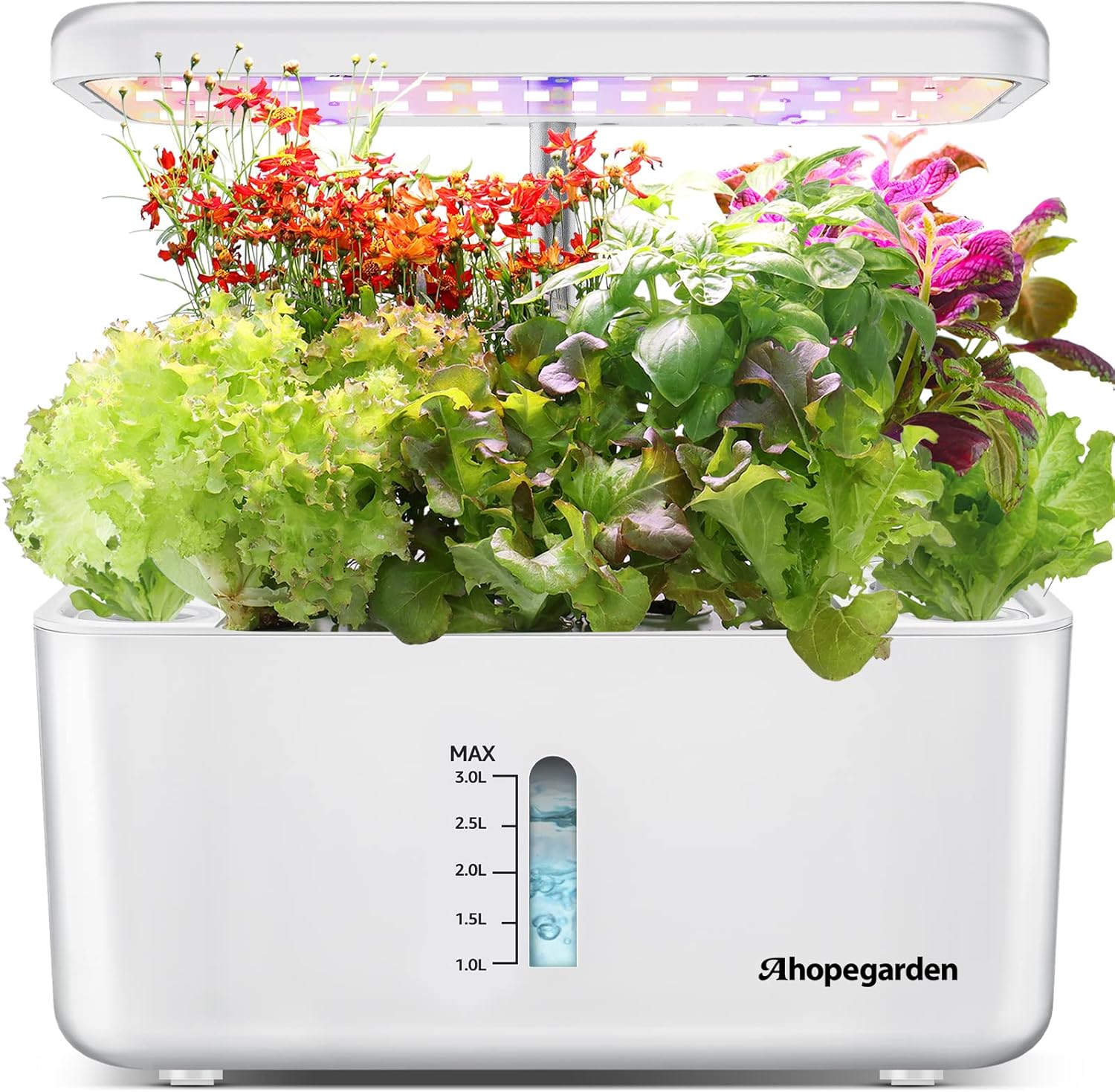 Indoor Garden Hydroponic Growing System Ahopegarden Plant Germination