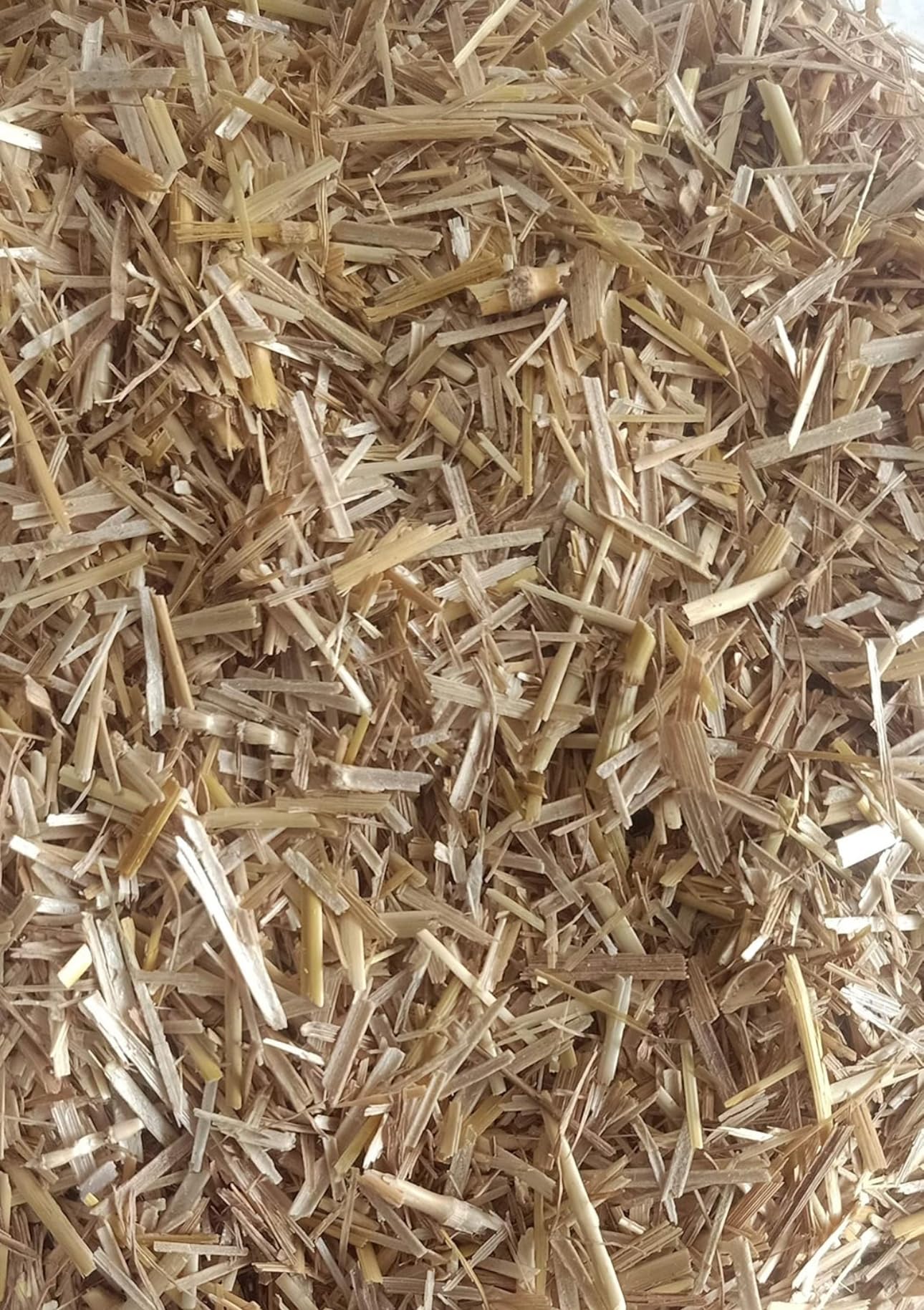 Wheat Straw in Cut Form for Mushroom Farming and Gardening/Wheat Straw, Wheat Straw Mulch/Wheat Straw for Mushroom - shrubs and General beds Mulch by abjinder and daughters (B0DDLSHFRQ) Amazon Price History, Amazon Price Tracker