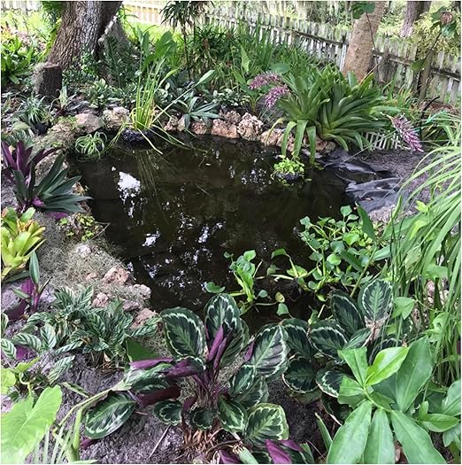 Image Pond Liner Pond Liner Foldable Durable Garden Waterfall Skin Membrane PVC 9M Wide Pond Liner 0.2mm Quality Garden Fish Pond Liner Koi Ponds,Water Gardens and Founta(Size:9×4.5m(29.5×14.7ft),Color:20S) Image Pond Liner Pond Liner Foldable Durable Garden Waterfall Skin Membrane PVC 9M Wide Pond Liner 0.2mm Quality Garden Fish Pond Liner Koi Ponds,Water Gardens and Founta(Size:9×4.5m(29.5×14.7ft),Color:20S)