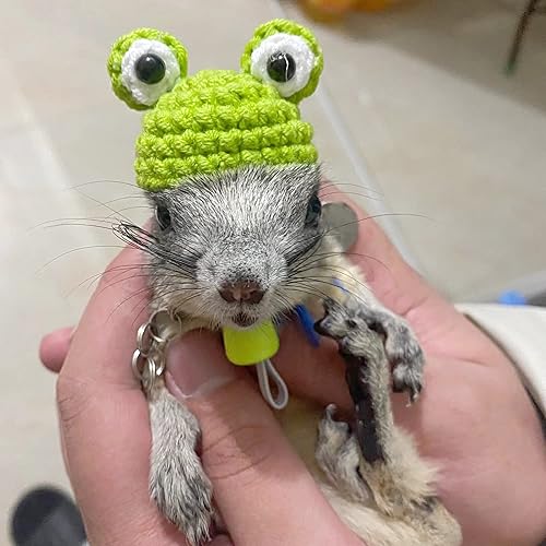 Miniatura 7 de Mini sombrero de punto a mano para animales pequeños mascotas como serpientes, lagartos, hámsteres sirios, dragones barbudos, ratas elegantes,