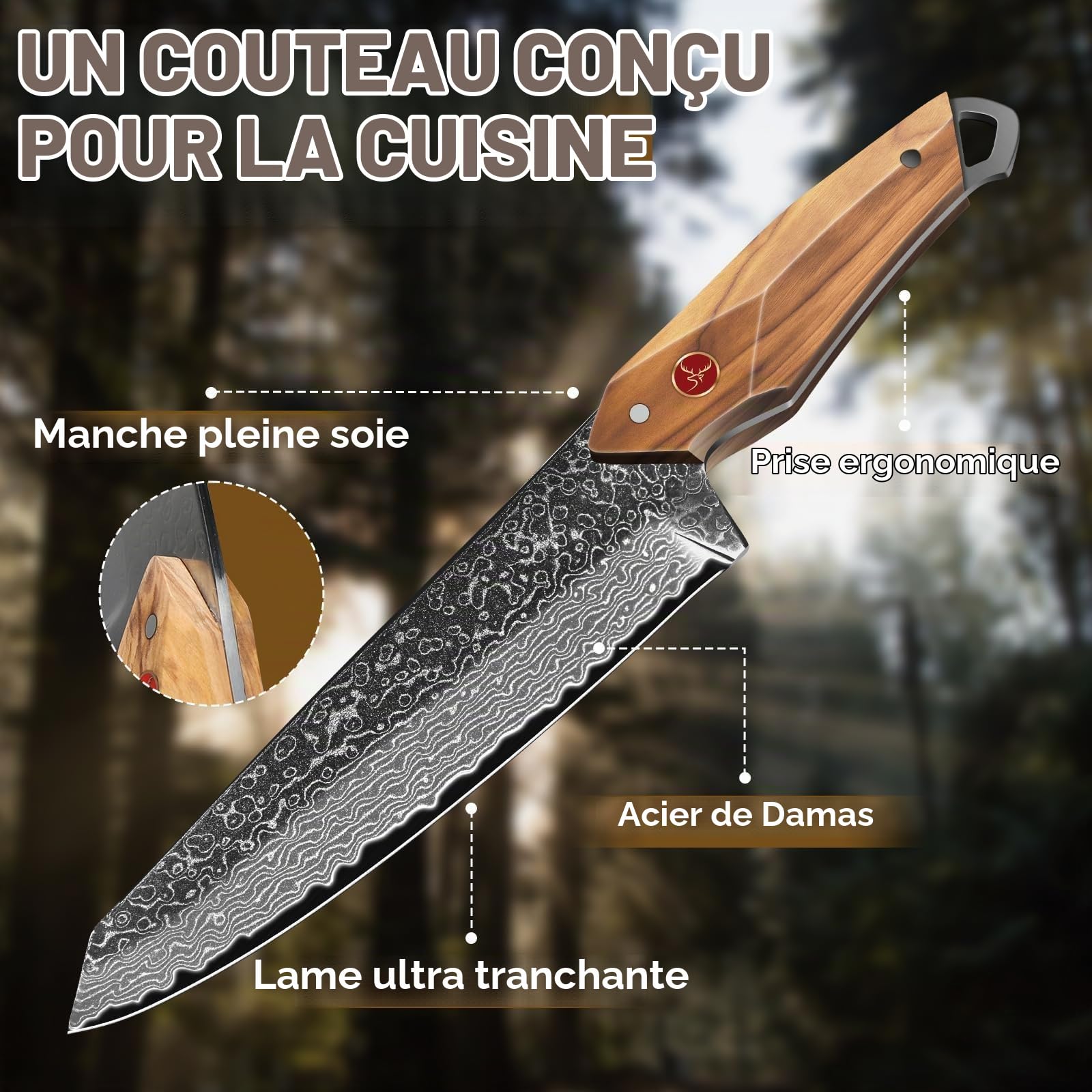 TAN REN Damas Couteaux, Couteaux de Chef Professionnels Forgés à la Main, Couteaux de Chef Damas avec Coffret Cadeau, Couteaux à Découper Exceptionnellement Tranchants