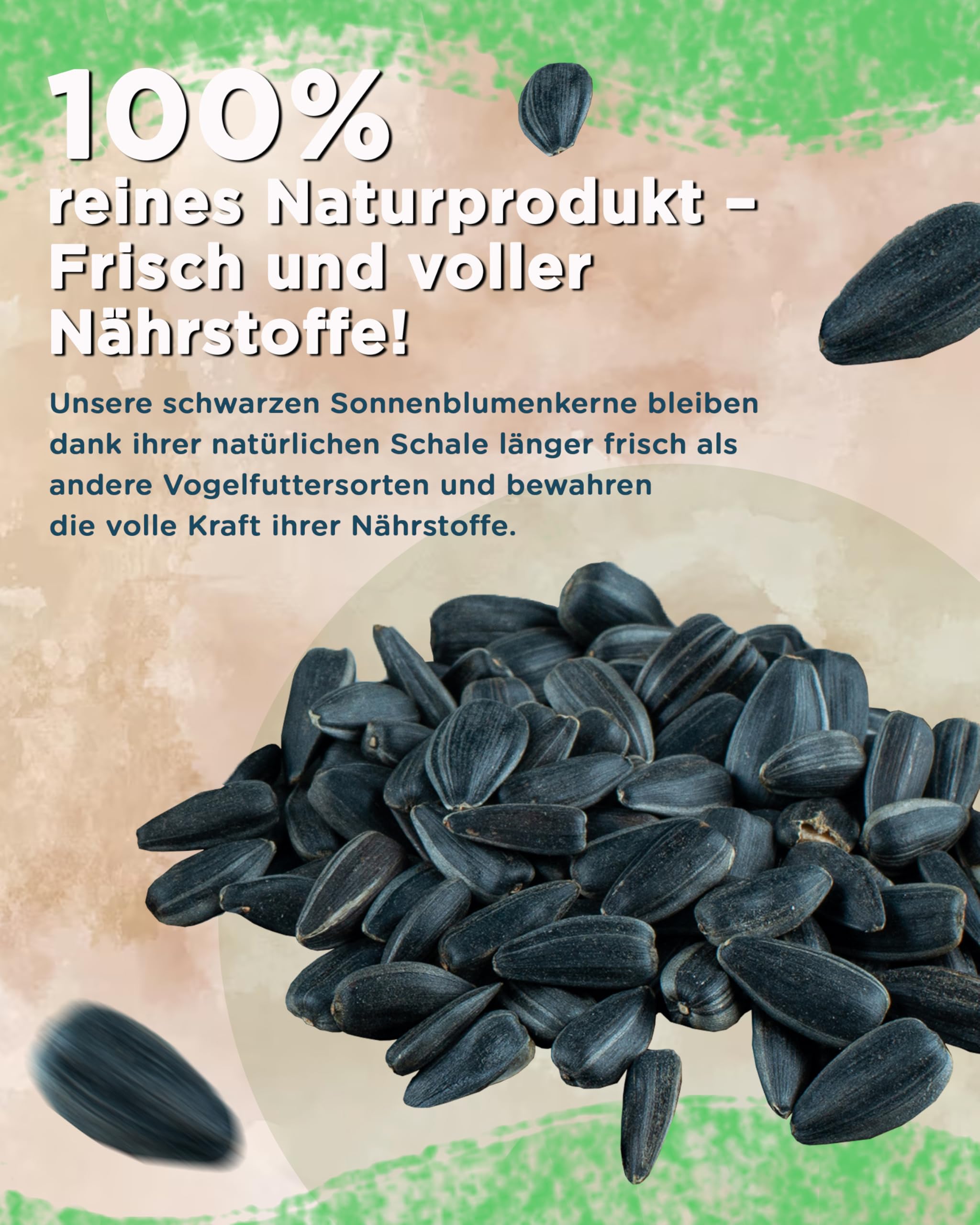 Futterbauer 25 kg Schwarze Sonnenblumenkerne im Papiersack für Vögel, 100% Natur, Hochwertige Energiequelle für Wildvögel, Hoher Fett- & Vitamin-E-Gehalt, Gereinigt & Getrocknet mit Schale, Ernte 2025
