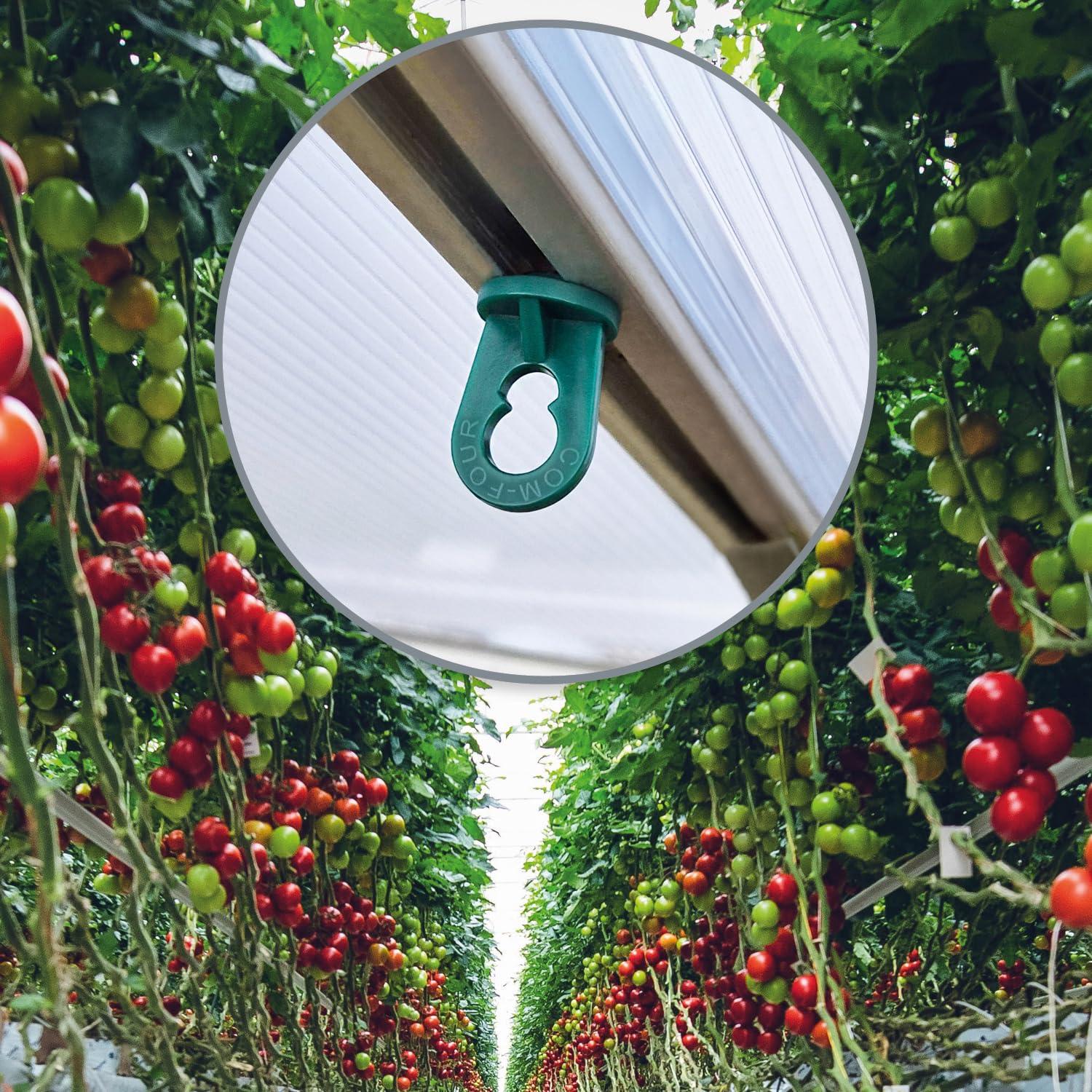 com-four® 25x Gewächshausclips - Stabile Aufhängevorrichtung für Gewächshausschienen - Rankhilfe Clips für Pflanzenhalter - Kunststoff-Ösen für 6-10 mm Nuten - Grün