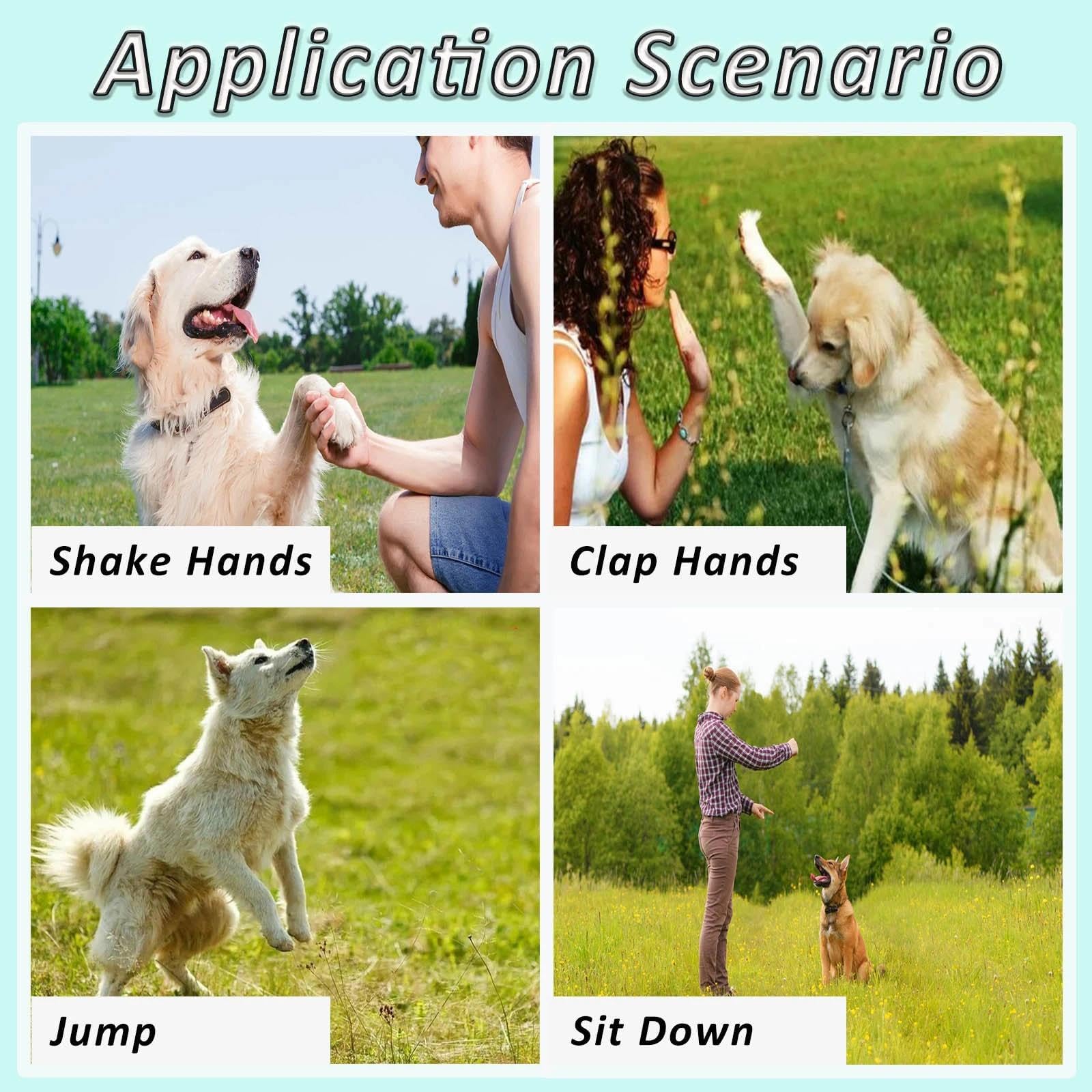 2 Pack Fischietto per Cani, Silenzioso Fischietto Ultrasuoni per Cani Richiamo, Alta Frequenza, Regolabile Fischietto Antiabbaio con Cordoncino, Adatto per La Maggior Parte delle Razze