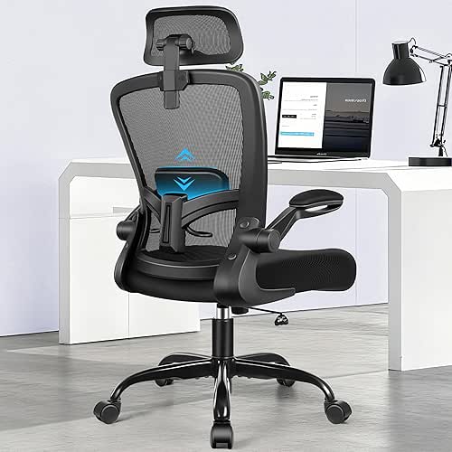 Office Chair, Ergonomic Desk Chair with Adjustable Lumbar Support, Computer