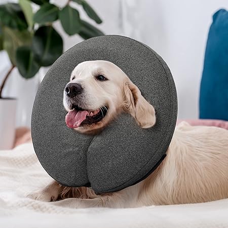 extra large dog cone