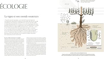 洋書 Mille Vignes - Pascaline Lepeltier Book: A Thousand Vines