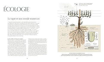 洋書 Mille Vignes - Pascaline Lepeltier Amazon.com: Mille vignes: Penser le vin de demain