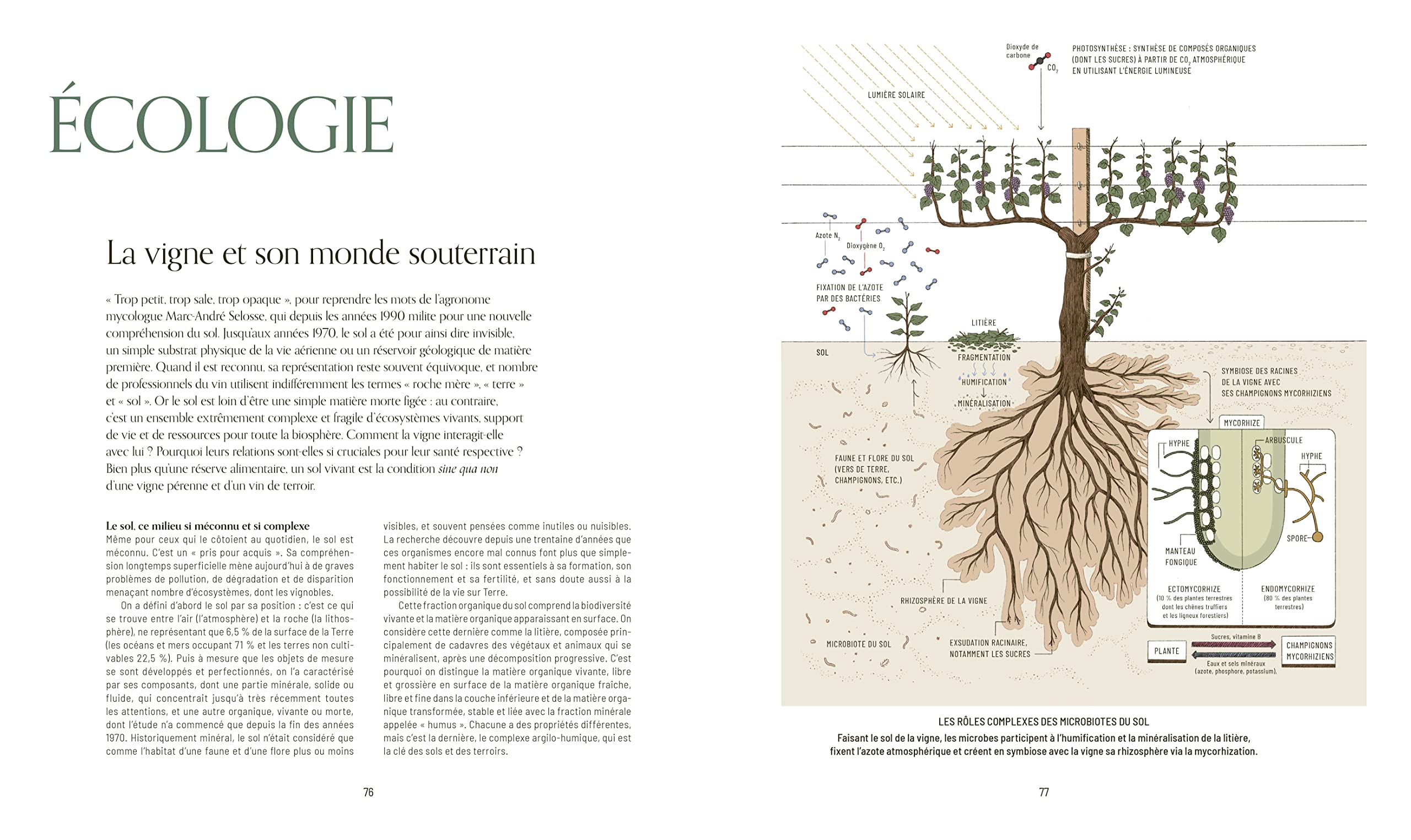 Mille vignes: Penser le vin de demain