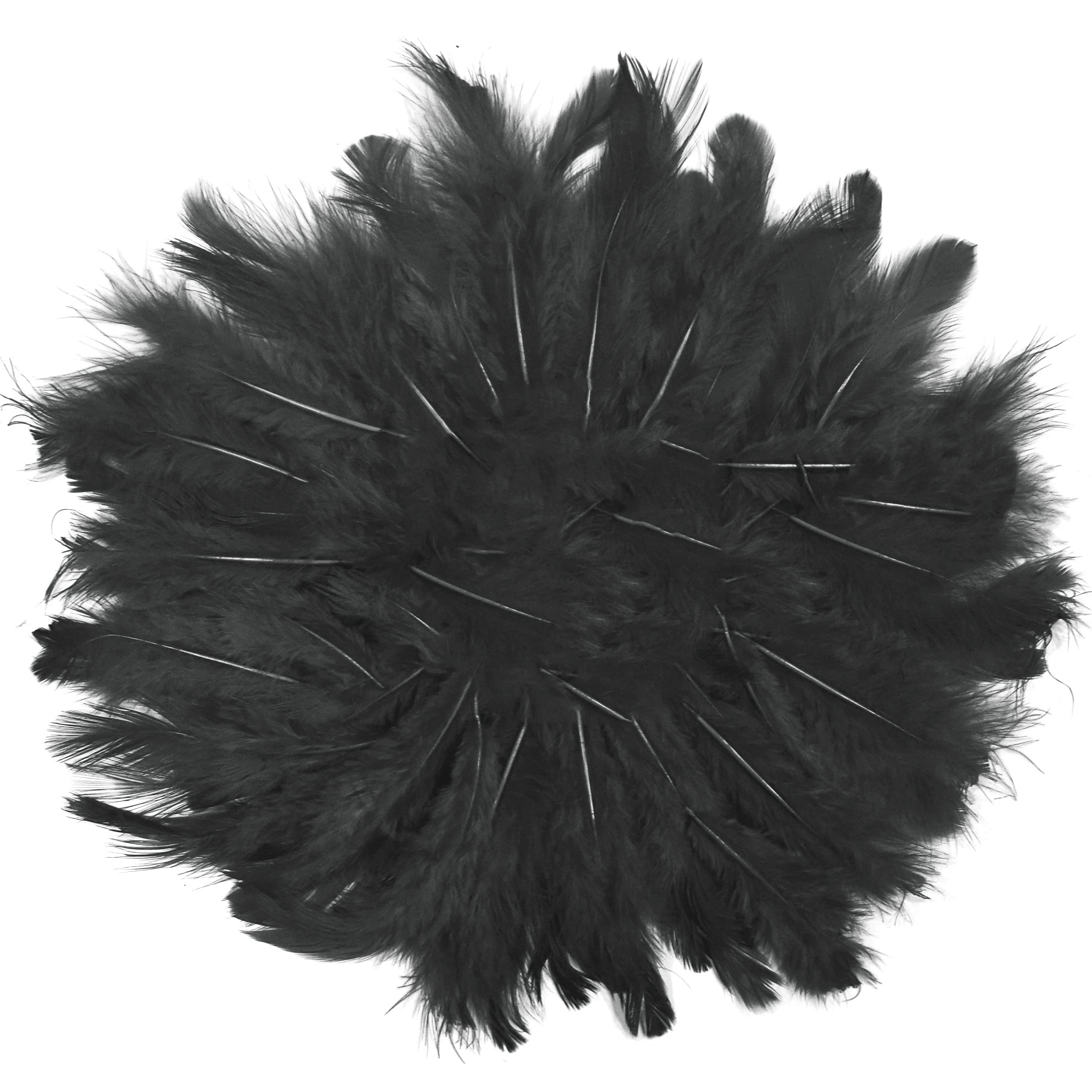 Asian Hobby Crafts Natural Dyed Feathers for Dream Catcher Making | Bright and Premium Feathers for Decorations and Art Projects | Pack of 80 Pcs | Color - Black | Size : 4-5 Inch Approx.-image-38
