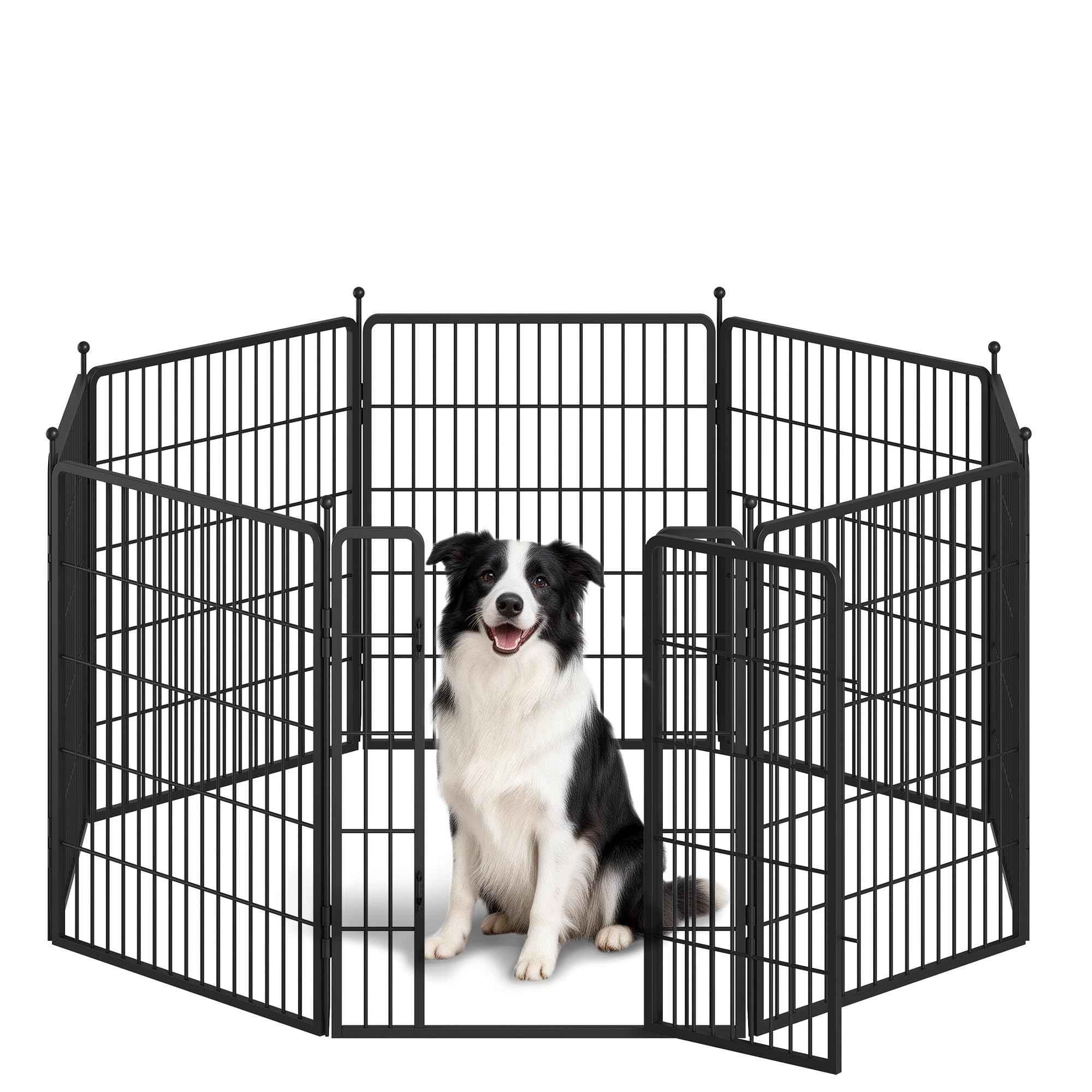 Parc pour Chien Métal 80 cm Pliable 8 Panneaux avec 2 Serrures Noir