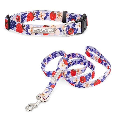 Lucky Love Dog Collares
