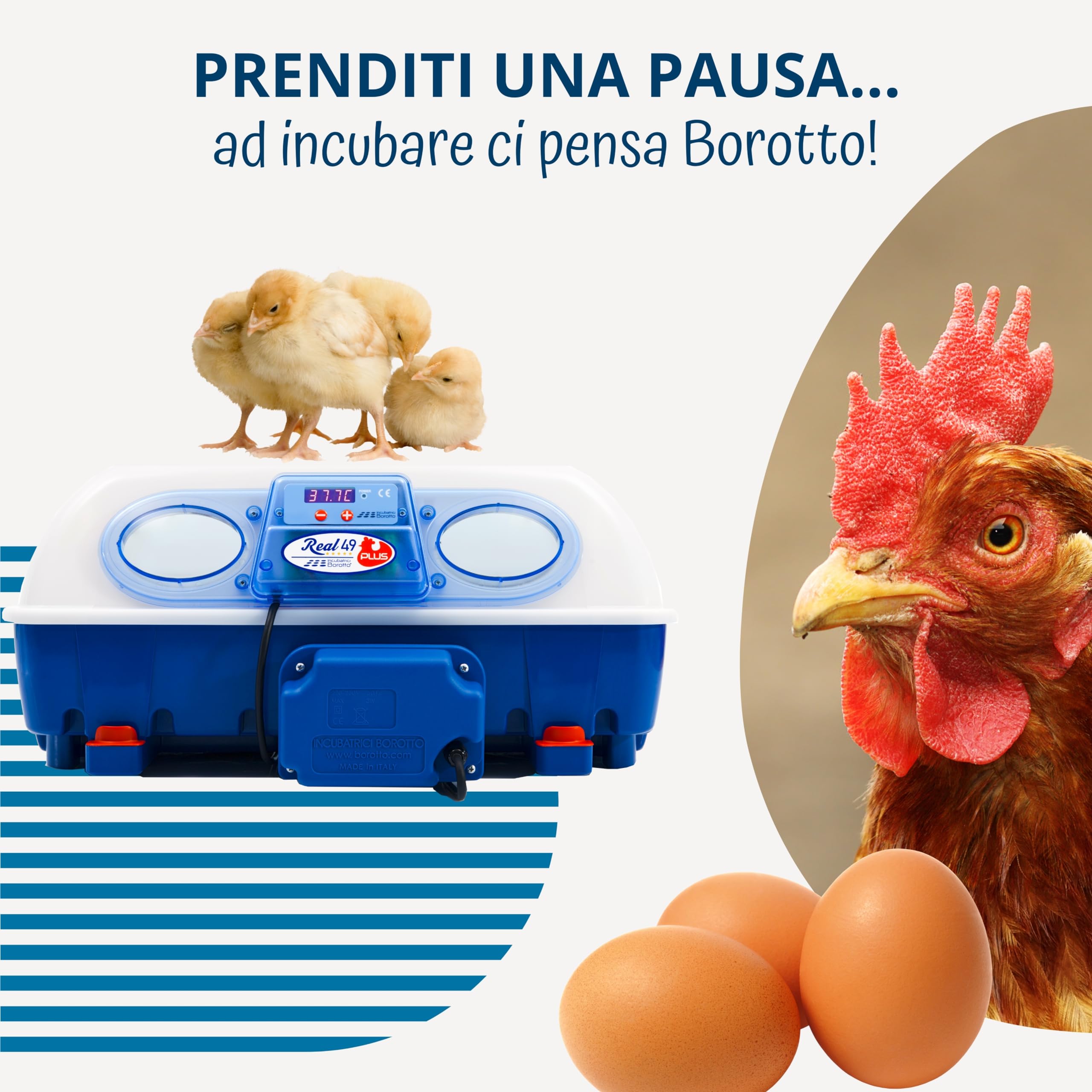 Borotto Real 49 Plus | w pełni automatyczny, profesjonalny automat do 49 lub 196 małych jajek, automatyczny mechanizm obracania jaj, regulacja temperatury, biomaster, antybakteryjny, wyprodukowano we