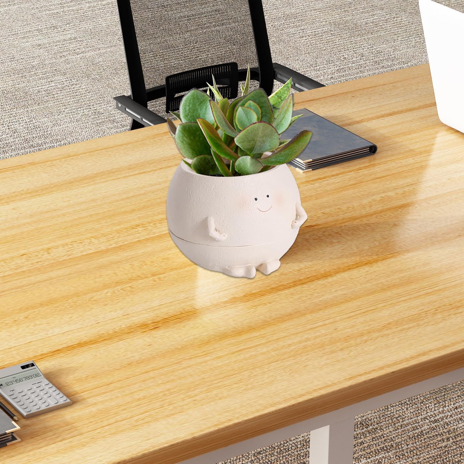 Gavigain Vaso per Piante, Piccoli vasi per Piante grasse con drenaggio, fioriera per Animali, pianta da Interno, vasi per Fiori Cactus/Bonsai Carini