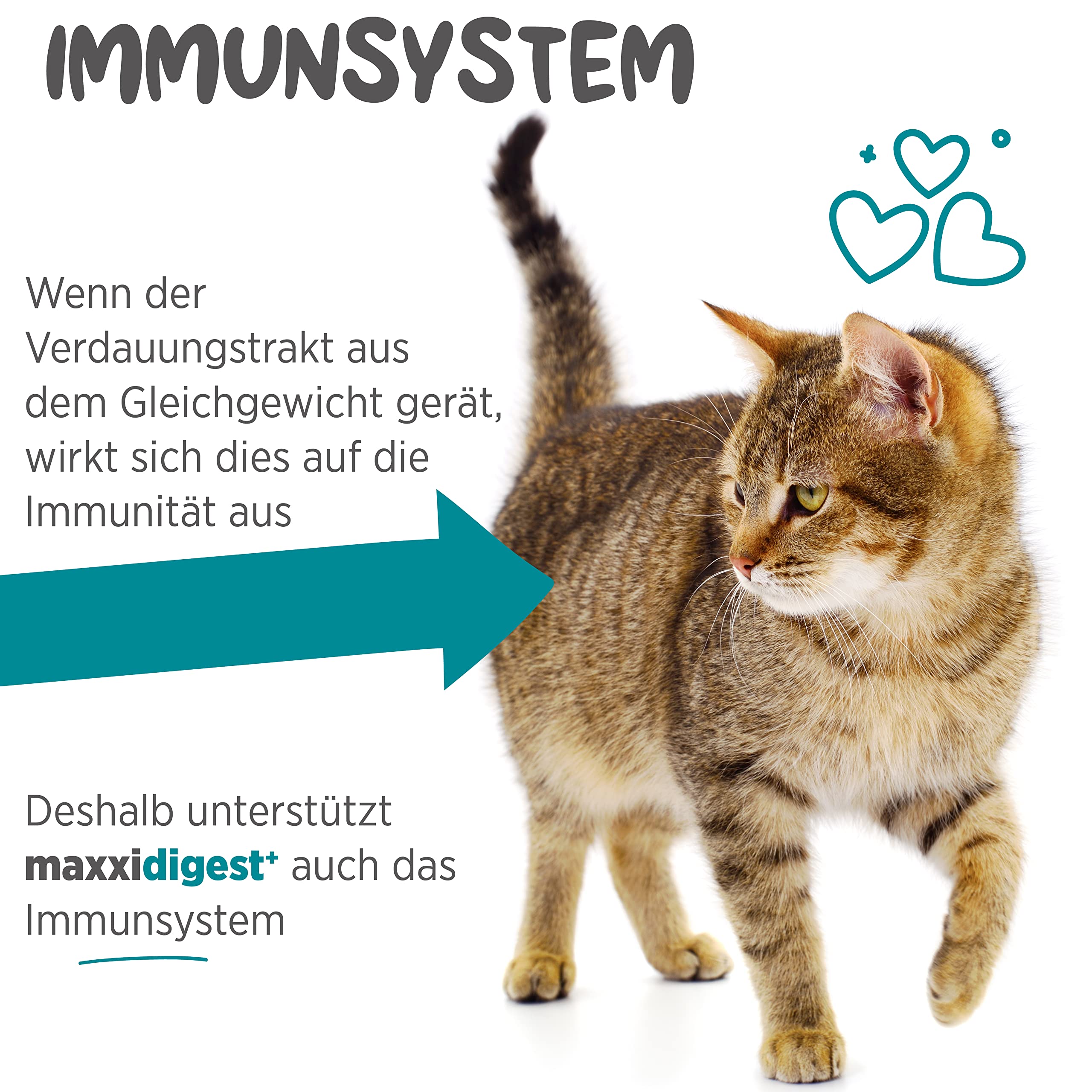 maxxipaws maxxidigest+ Probiotische & präbiotische Pulverergänzung - Verdauungs- und Immununterstützung für Katzen, 200g