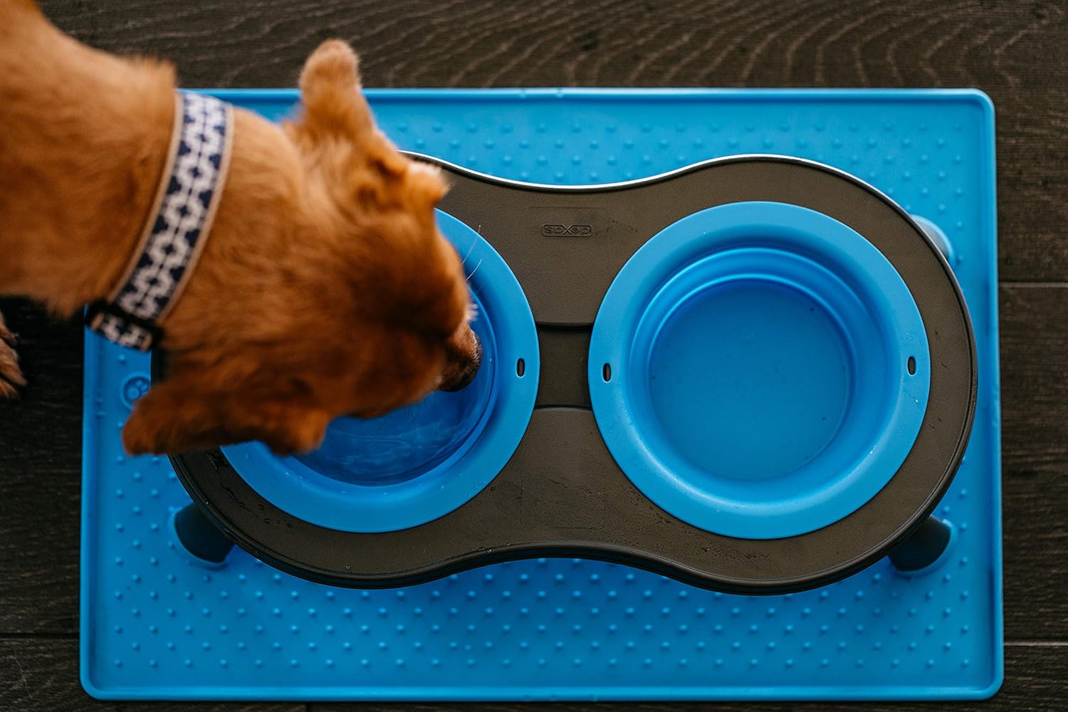 Small Blue Elevated Pet Feeder with Collapsible Bowls