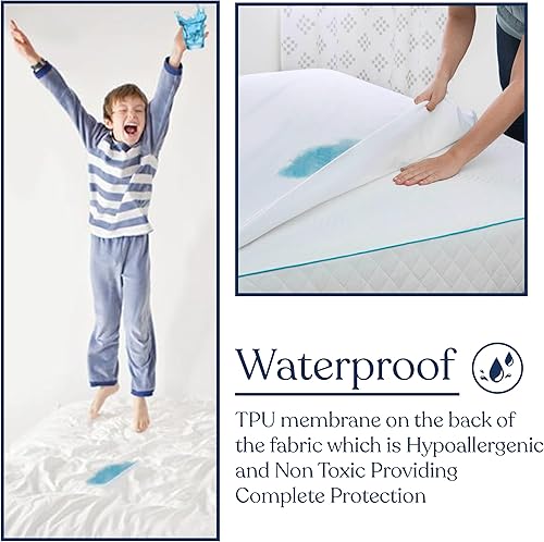Miniatura 3 de Delara Protector de colchón orgánico impermeable, a prueba de derrames, de algodón orgánico certificado GOTS, tamaño individual, con superficie
