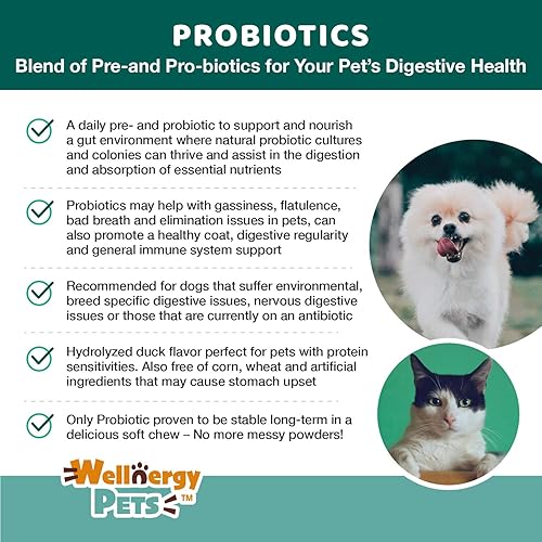 Miniatura 4 de Wellnergy - Probióticos diarios y prebióticos masticables suaves para perros y gatos, apoyo digestivo para diarrea, estreñimiento, malestar