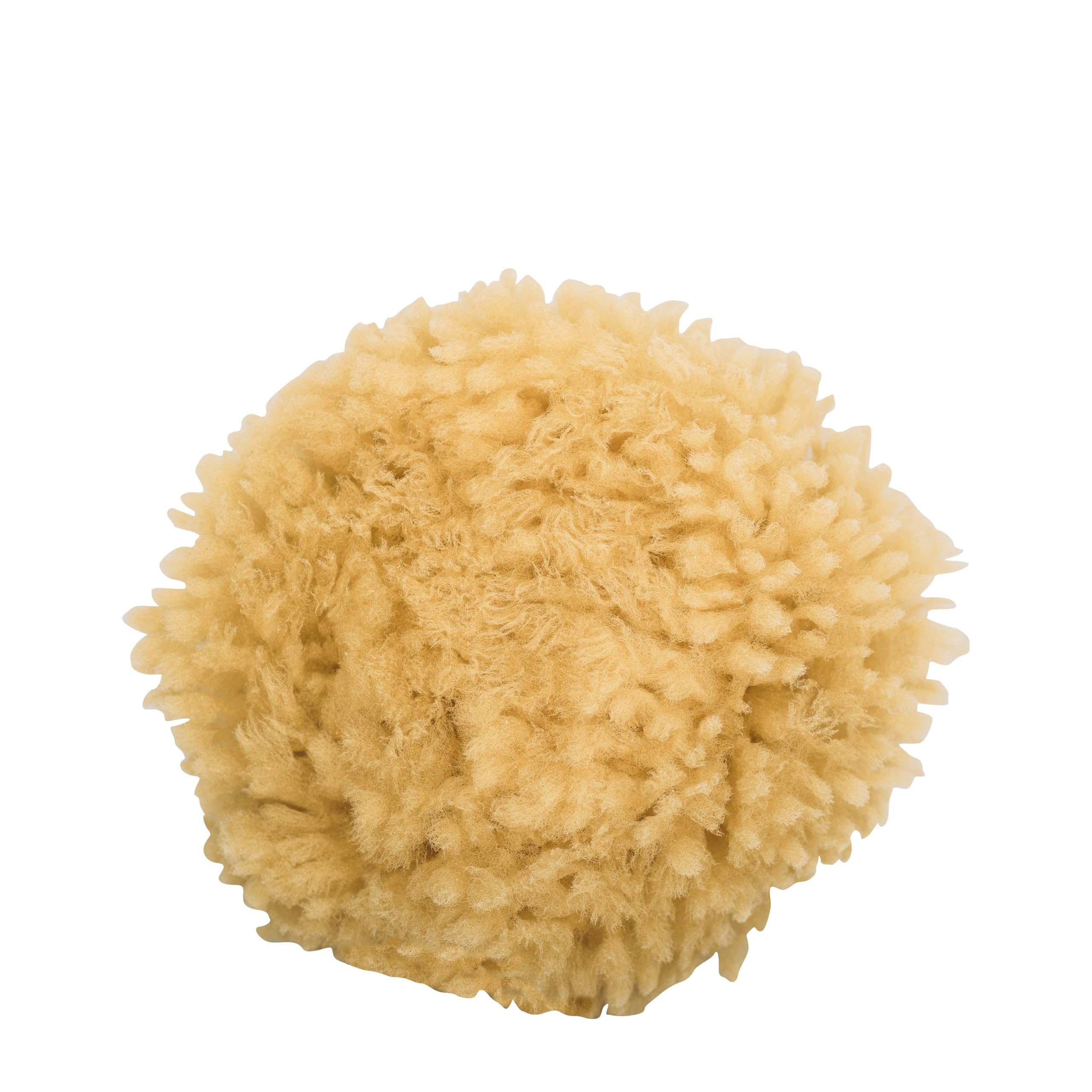 4025 NIY Niyok Sea Sponge Body Approx. 10 cm, Brown