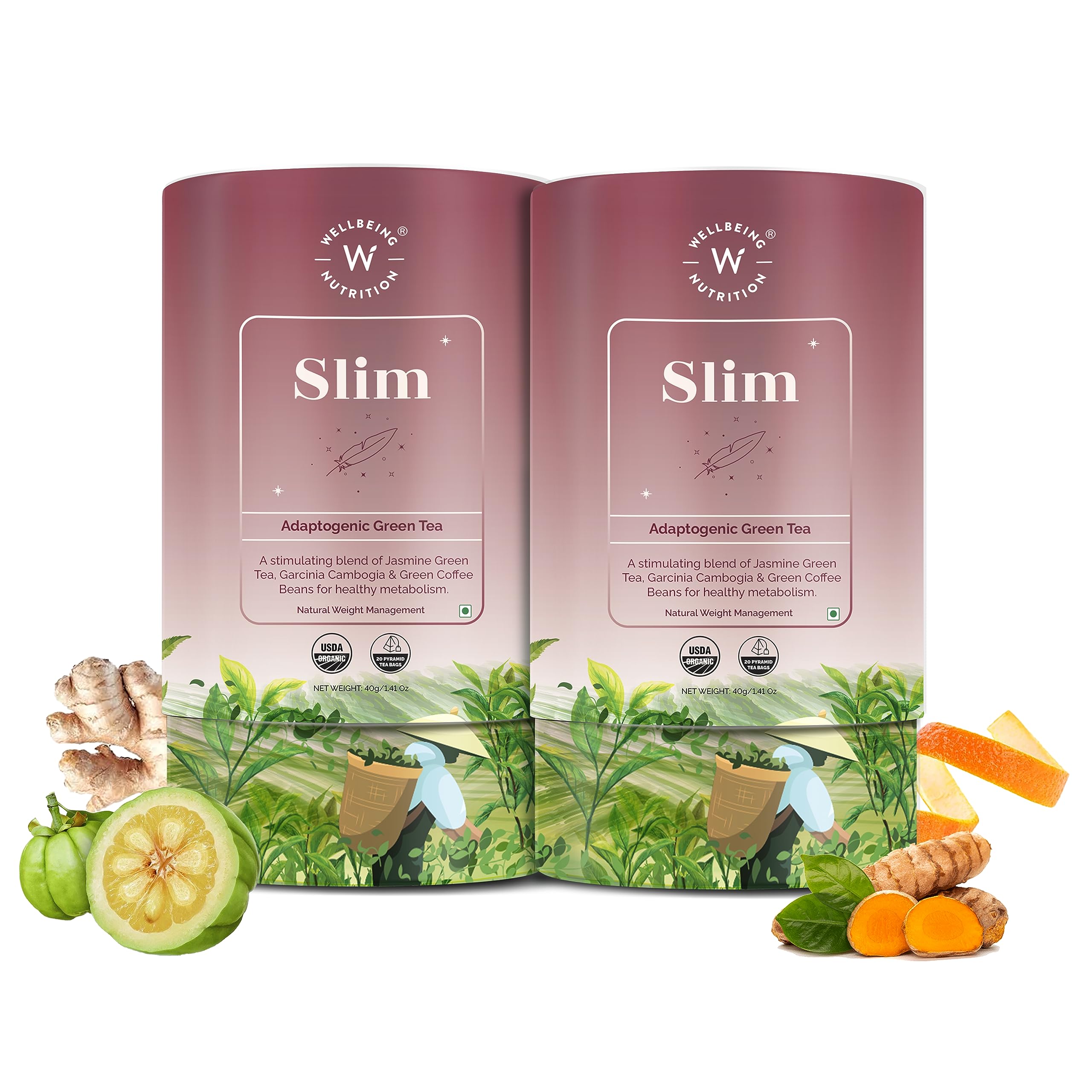Wellbeing Nutrition Slim Tea | Sliming Tea for Weight Management | Improves Metabolism, Satiety & Detox | Jasmine Green Tea, Garcinia Cambogia, Green Coffee Beans (40 Pyramid Tea Bags) Pack of 2 (B0CCXY2XWM) Amazon Price History, Amazon Price Tracker