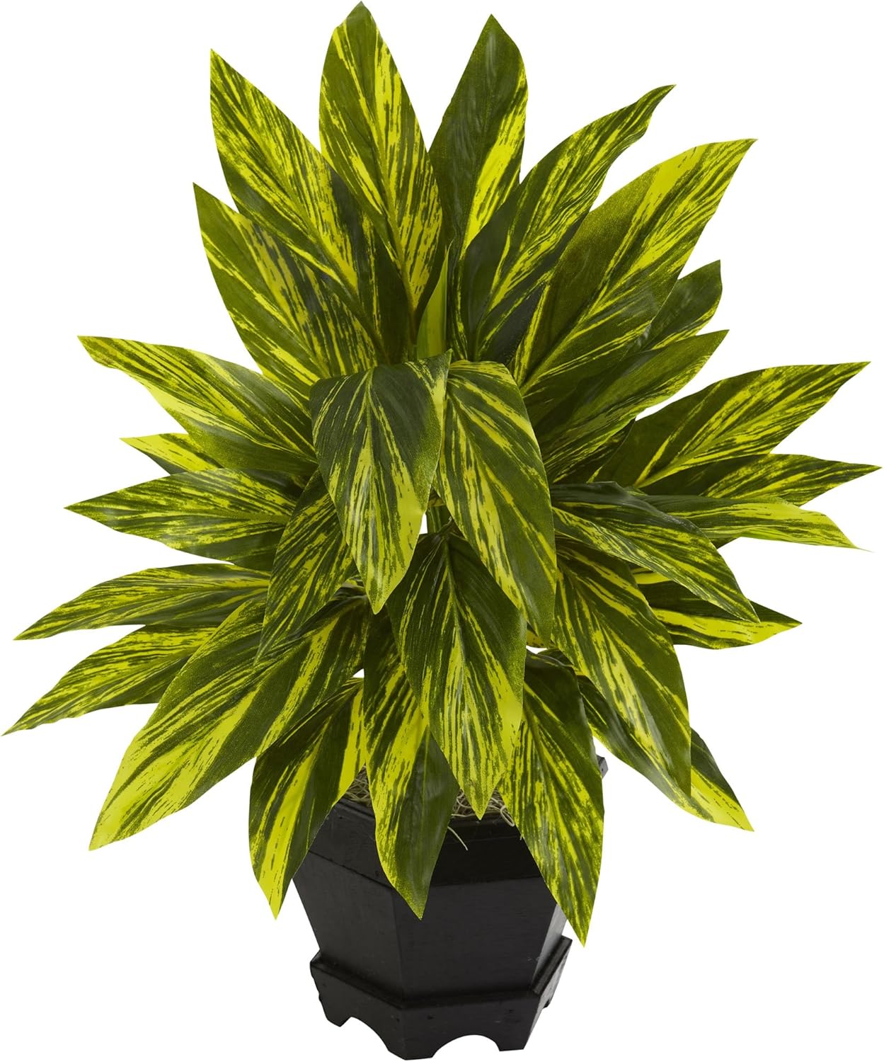 Nearly Natural Ginger Plant with Black Planter