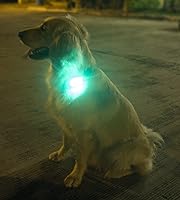 Vista 9 de LED Safety Light (2 Pack) - Clip On Strobe/Running Lights for Runners, Dog, Bike, Walking, Boat, Kayak, Stroller and More - High Visibility