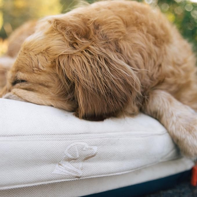 Cama Ortopédica para Perro Grande con Espuma Viscoelástica y Funda Lavable miniatura 6