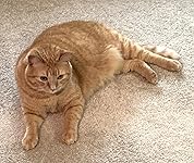 Review Image by Complexity Complexity