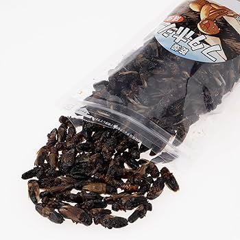 大容量⭐︎国産養殖　乾燥フタホシコオロギ　1kg ※一時生産中止につき在庫限り 乾燥フタホシコオロギ | ワイルドスカイ通販