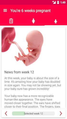 Pregnancy Tips - Week by week