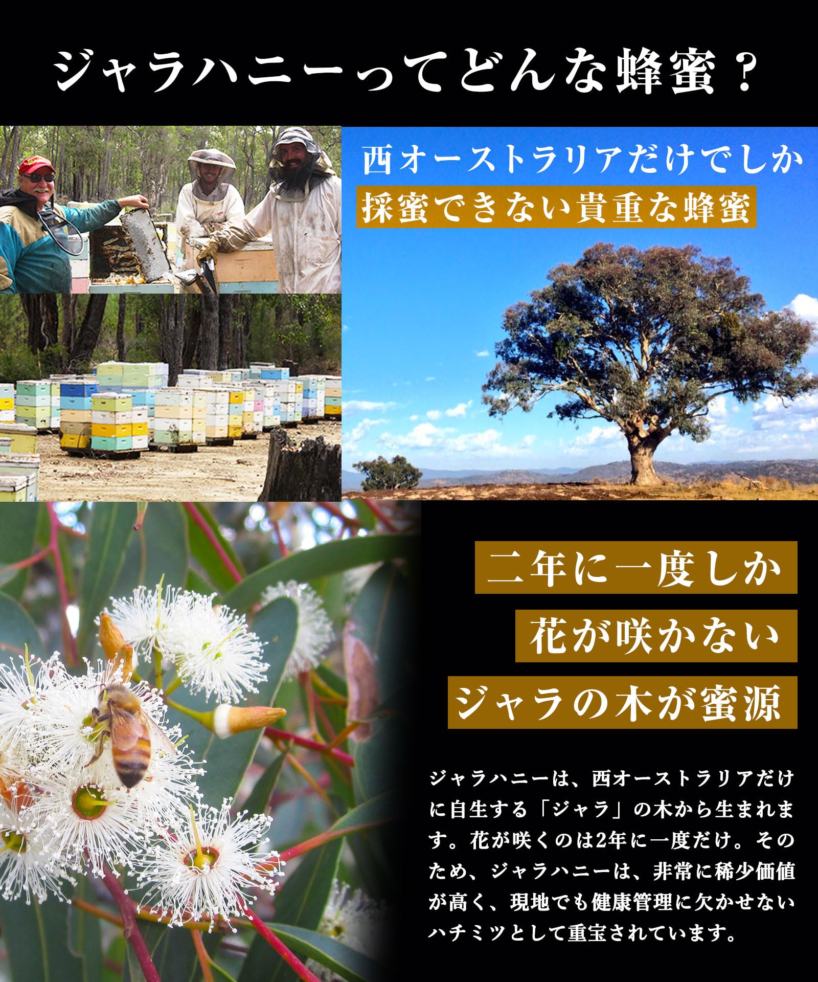 ✴️NaTruly（ナトゥリー） ジャラハニー TA35+ 500g 2個セット NaTruly（ナトゥリー） ジャラハニー TA35+ 500g×2個セット ( 合計1kg