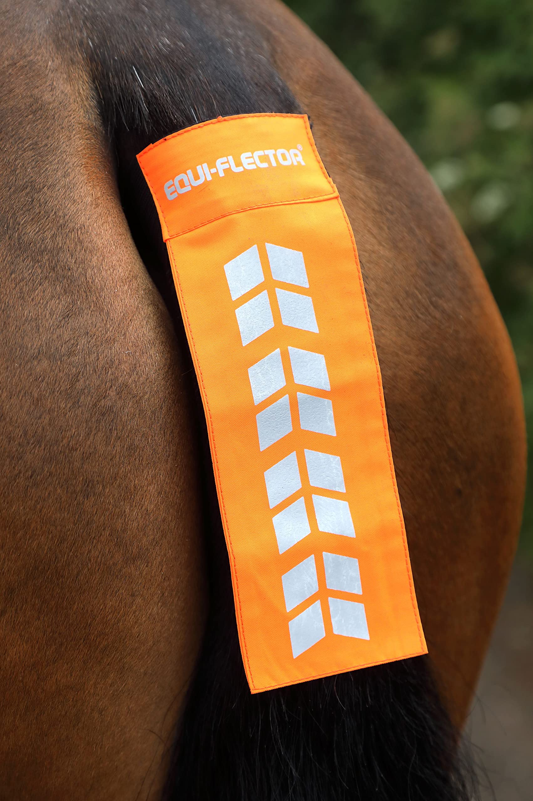 Shires Equi-Flector Reflective Tail Strap (Orange)