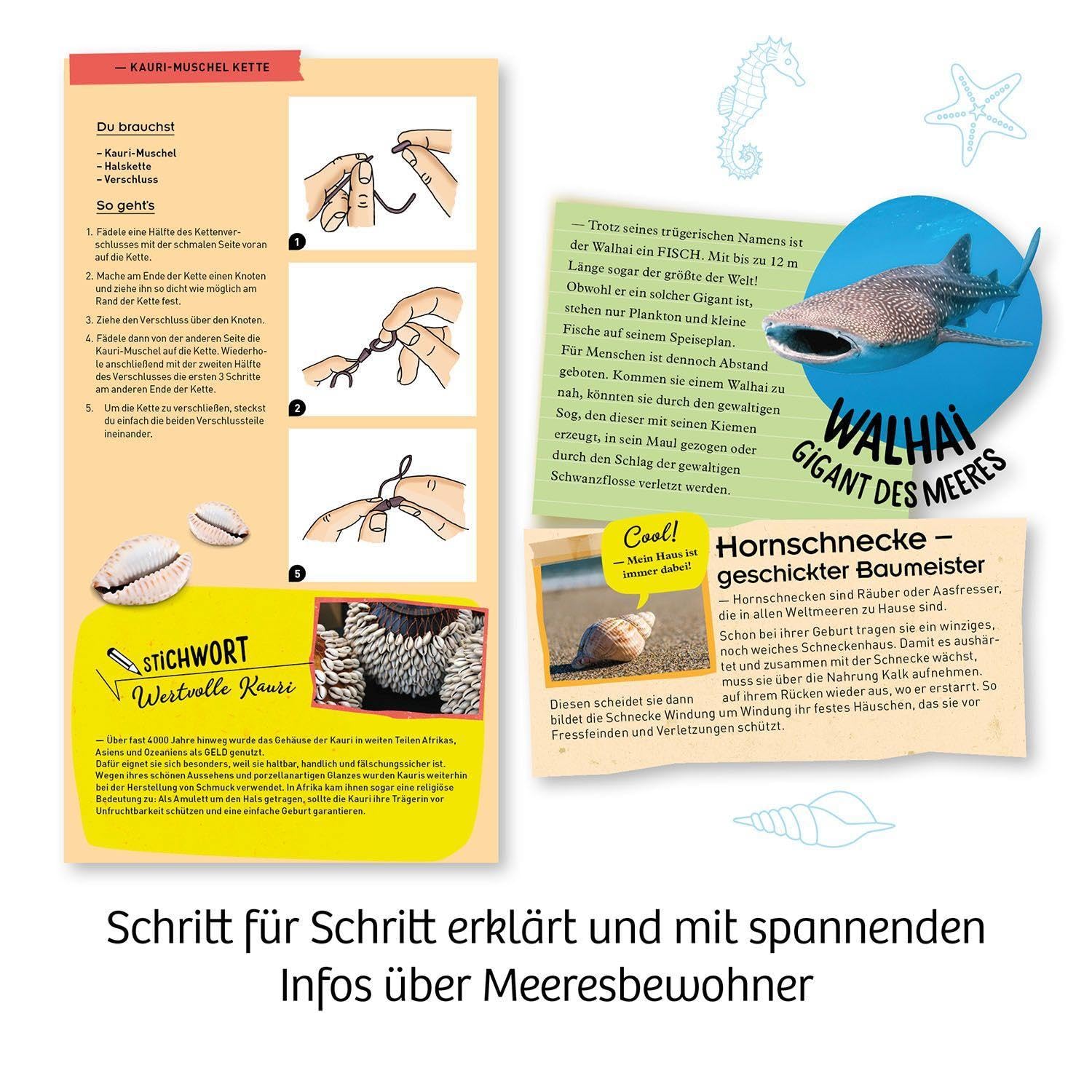 Meeres-Abenteuer: Experimentierkasten