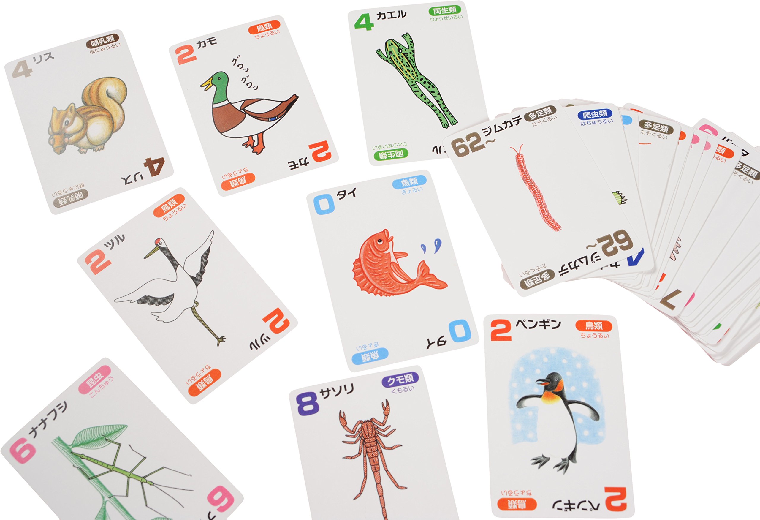 Amazon.co.jp: 足算 −あしざん− 動物の足でたしざんしよう! : 淀井泉 