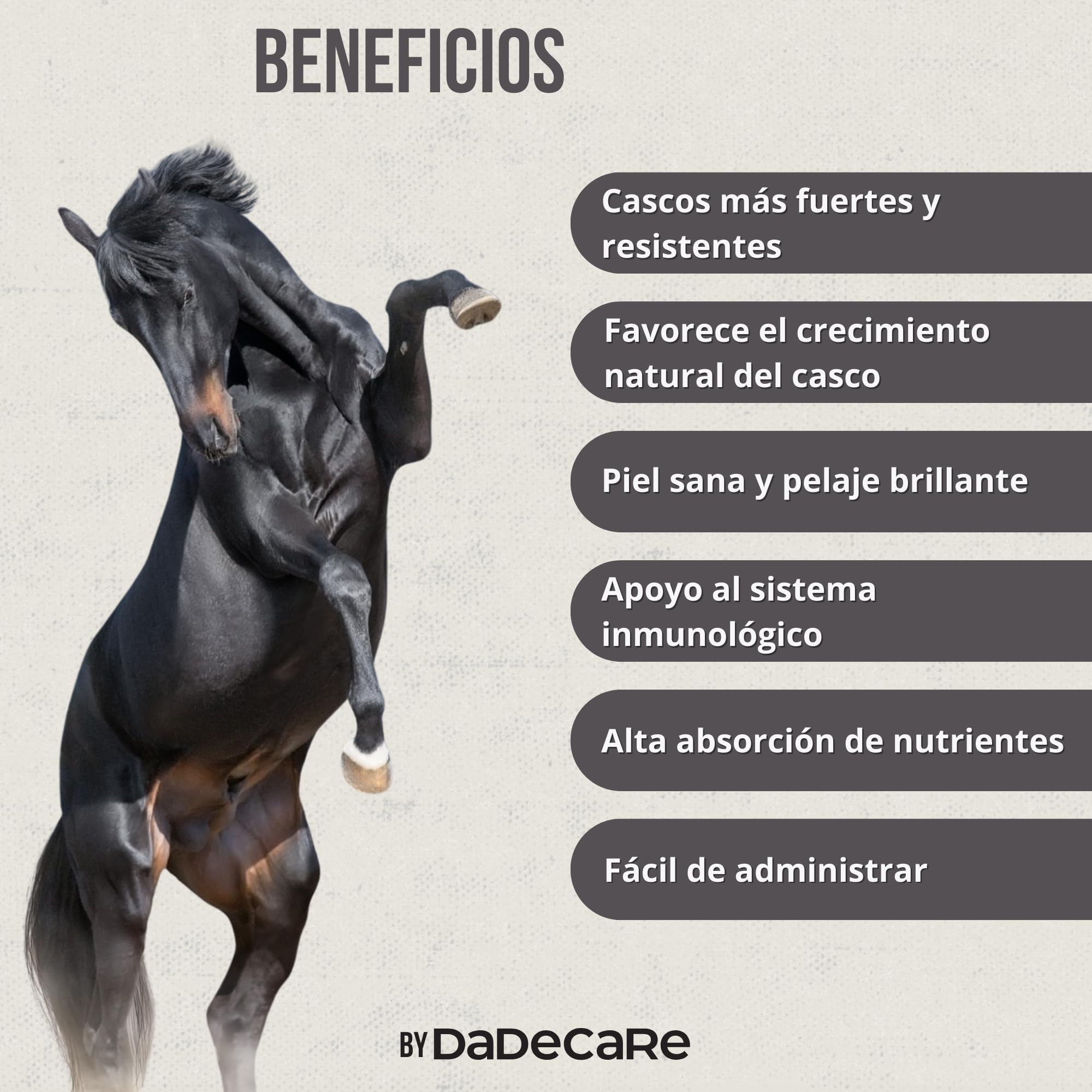 Hoofcare - Biotina y Zinc para Cascos Caballo 750g – Casco Fuerte y Crecimiento Natural – Ideal para Cascos Frágiles, Cambio de Pelaje y Caballos Deportivos – Cuidado Pezuñas, Piel y Pelaje Equino