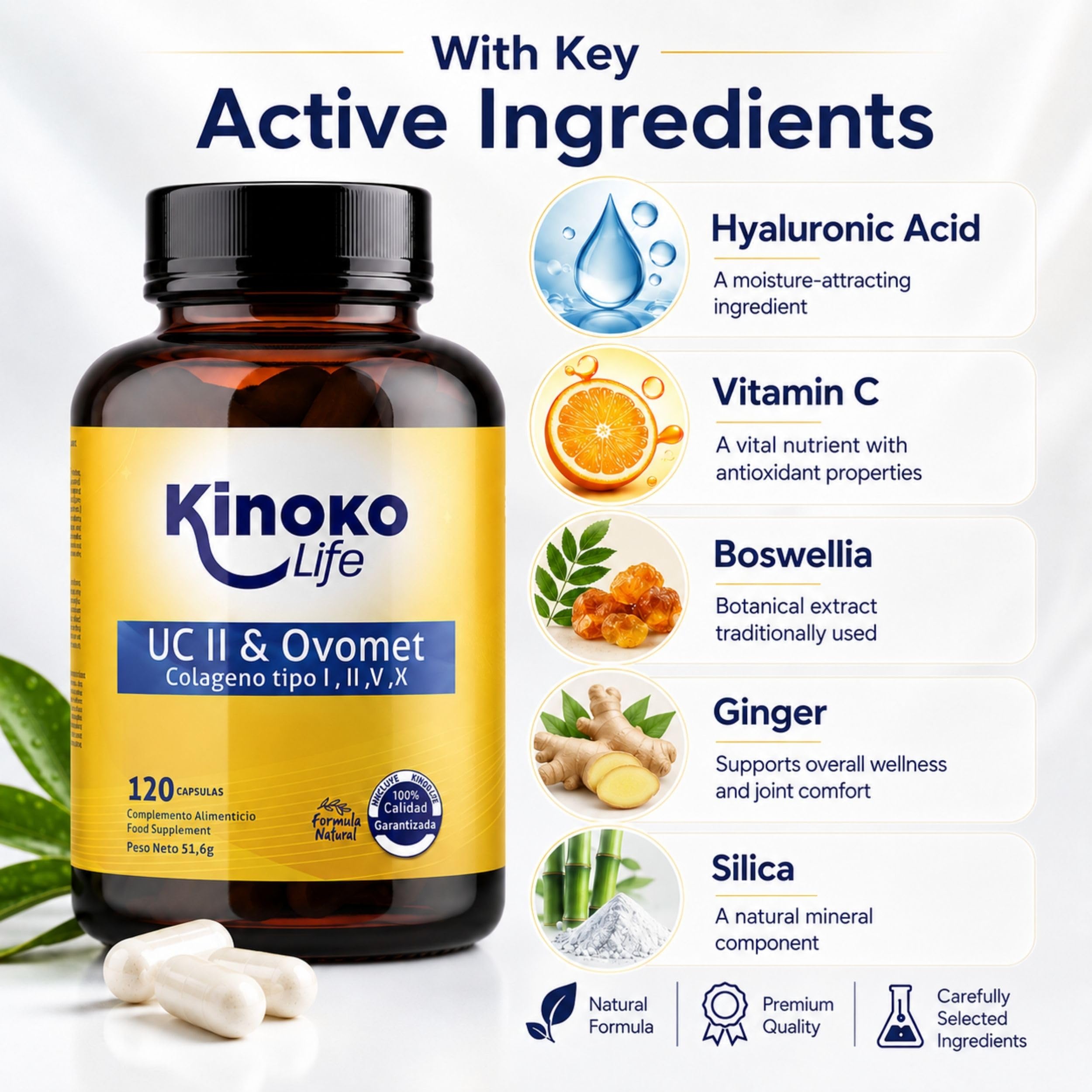 Colágeno Tipo 2 UC II y Ovomet 120 Cápsulas con Ácido Hialurónico, Vitamina C, Boswellia, Jengibre y Silicio