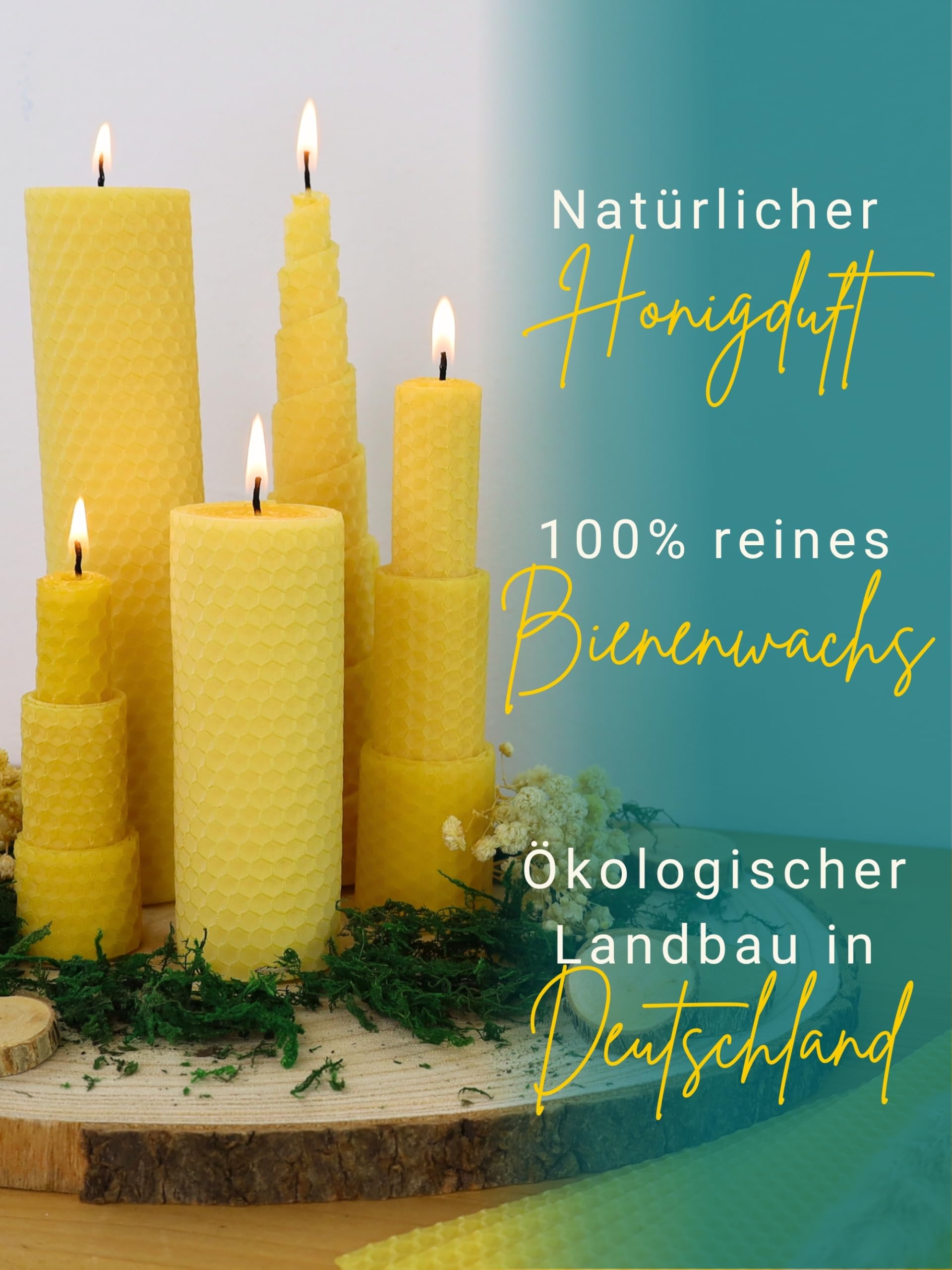 Wachsmann 15 XL Bienenwachsplatten 35 x 20 cm, reines Bienenwachs aus Deutschland, gelb, Wachsplatten für Kerzen selber Machen, DIY Geschenk - Honigkerze