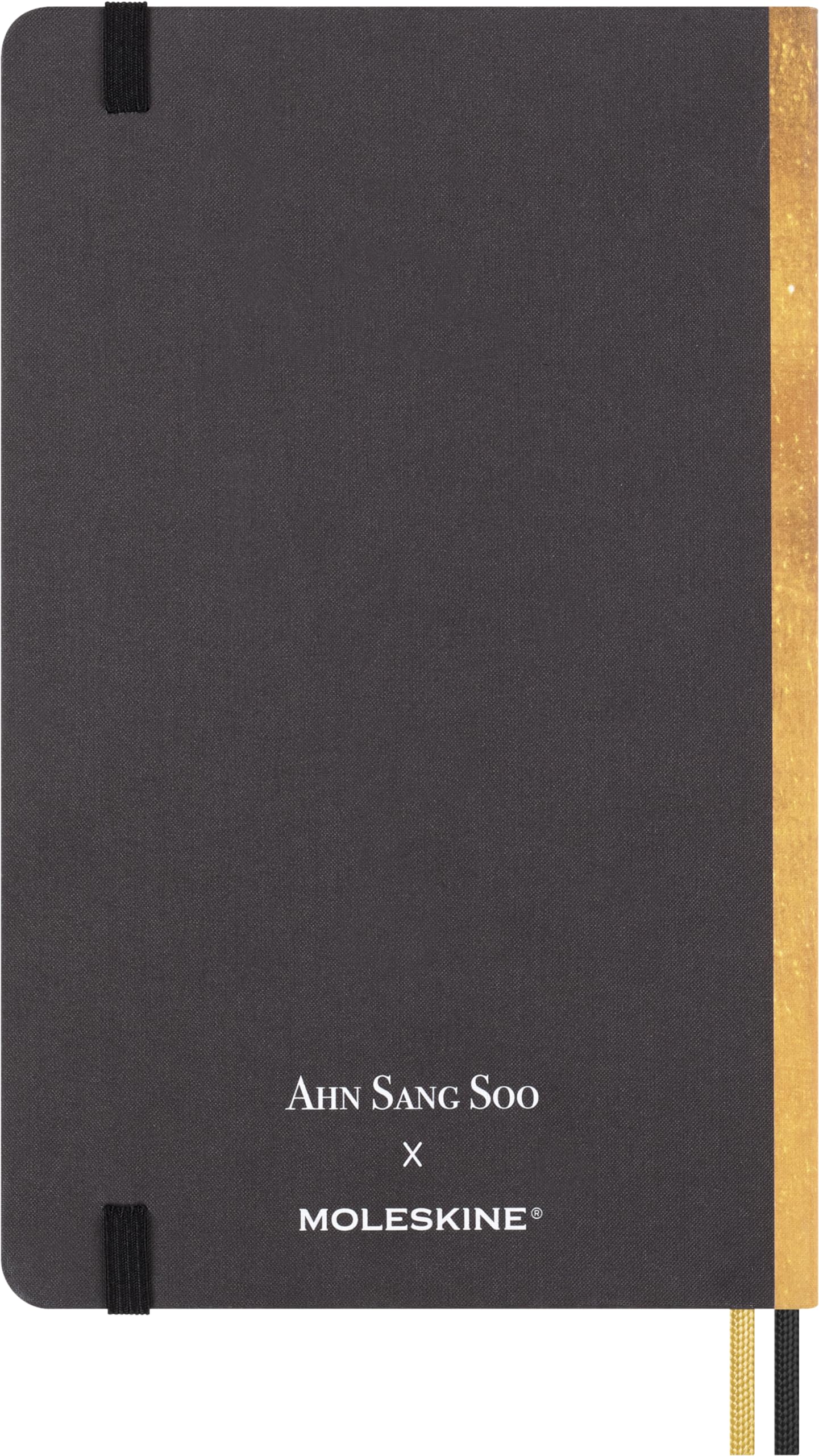 Moleskine Das Jahr des Drachen Notizbuch (Ahn Soo Sang), Large/A5, Liniert, Fester Einband