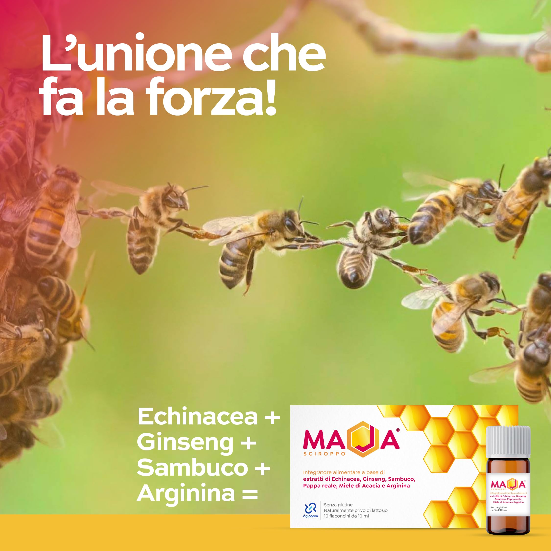MAJA Pappa Reale Integratore Potente Ricostituente Energia Fisica e Mentale Adulti Bambini Sportivi con Echinacea Miele di Acacia Ginseng Sanbuco Arginina 10 Flaconi Made in Italy
