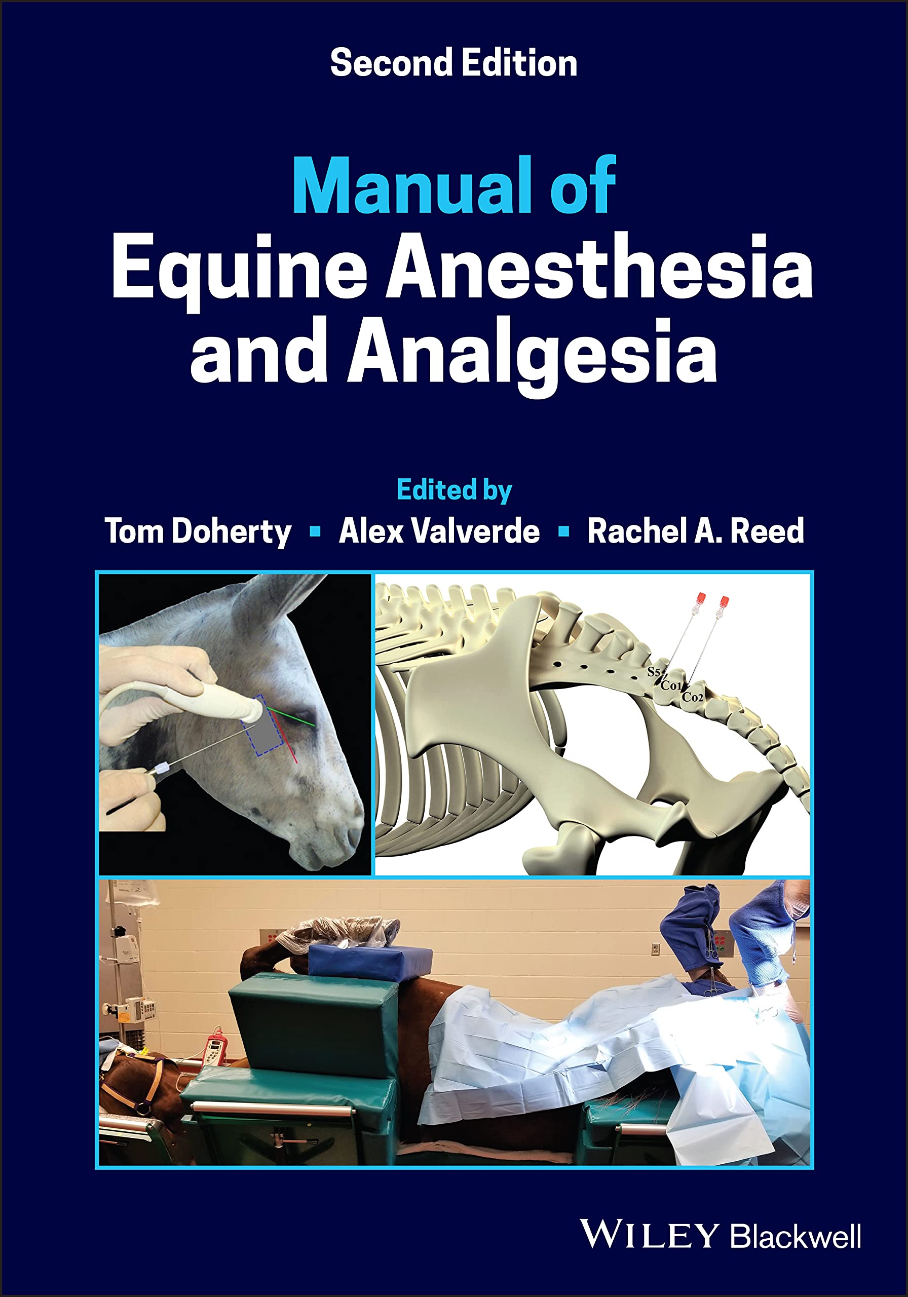 Manual of Equine Anesthesia and Analgesia by Doherty, Valverde, Reed New^+
