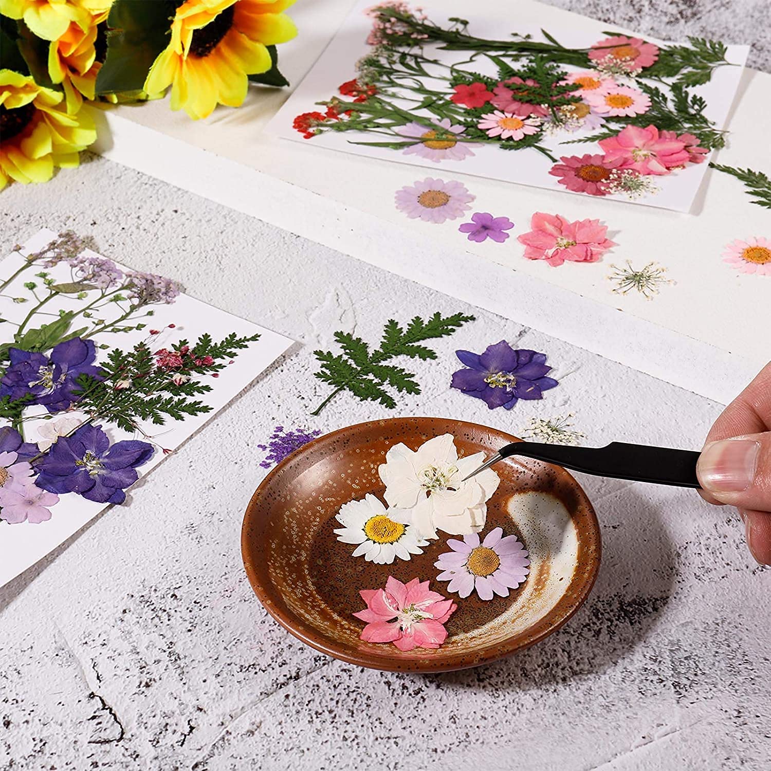 105 Stück Natürliche Getrocknete Blumen, DIY Gepresste Blumen Gemischte Getrocknete Blätter Getrocknet Gänseblümchen Gemischt für Kunst Basteln DIY Harz Scrapbooking Handwerk Karten Machen