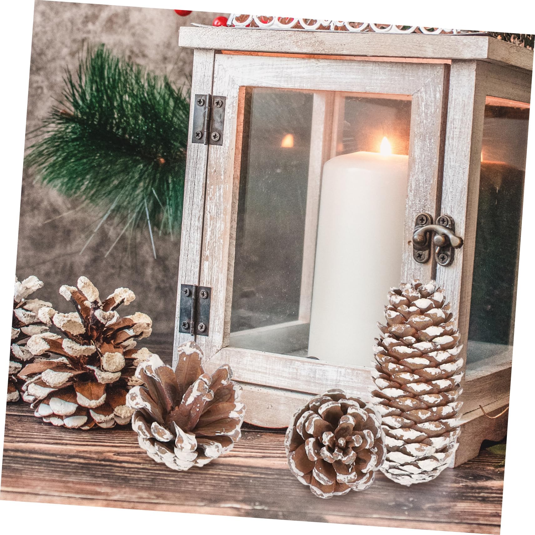 SHINEOFI 3 Set di Decorazioni Natalizie Vere Essiccate Allingrosso Decorazioni per La Casa Forniture Artigianali