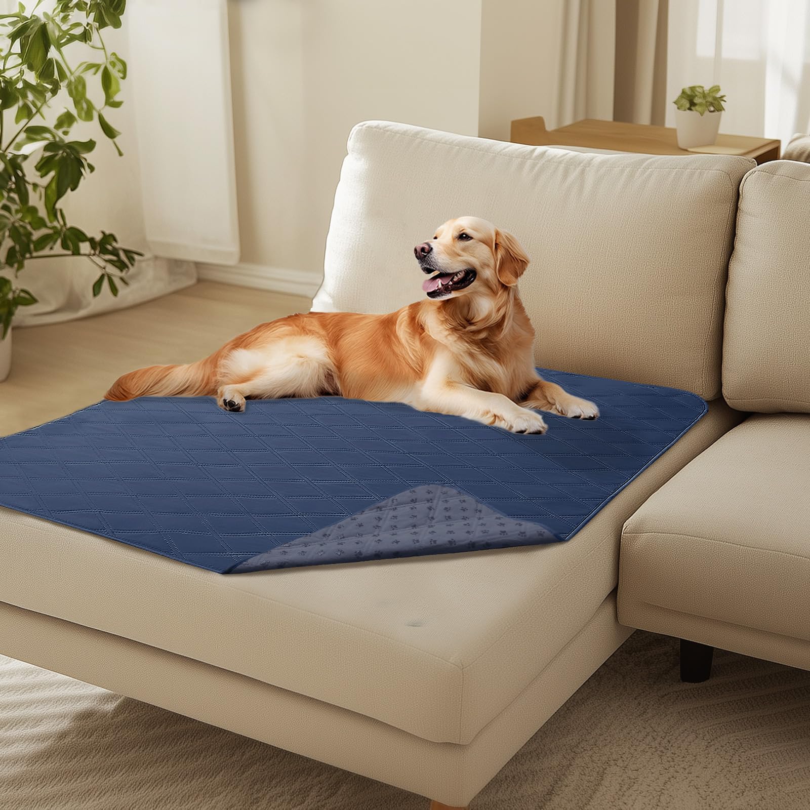 Luciphia 100% Waterproof Couch Cover Blanket for Dogs Anti-Slip Pet Couch Protector Sofa Mat Puppy Cat Blanket with Non-Slip Bottom, Navy Blue, 40x50 Inch