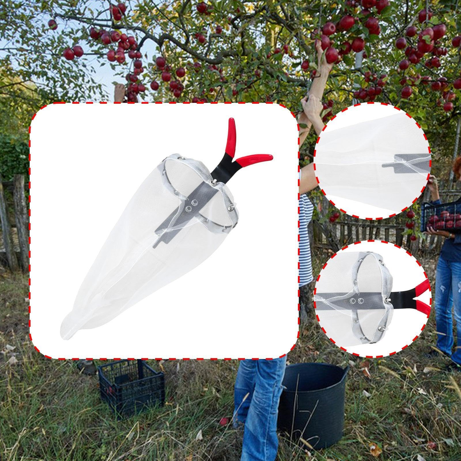 Baoblaze Raccoglitore di Frutta Leggero, Attrezzo da Giardinaggio per, E