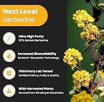 Berberine 1200mg Complex – 120 Count - Highest Purity 97% Berberine HCl + Patented Berbevis Phytosome for Max Absorption – Ultra Strength Capsules With Grape Seed Extract - Berberine Supplement Supports Glucose Metabolism & Healthy Blood Sugar Levels