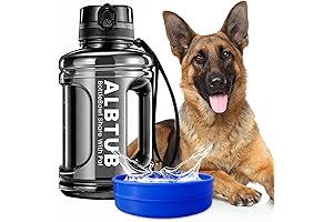 Large Travel Dog Bowls: Convenient Hydration for Adventurous Canines